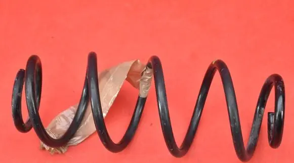Rear coil spring