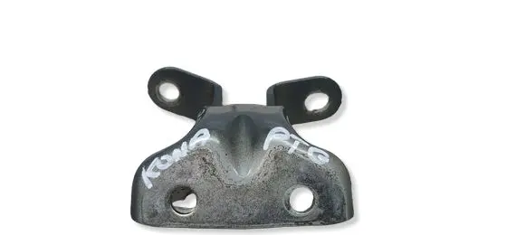 Hyundai Kona I Rear door lower hinge HYUNDAIKONA