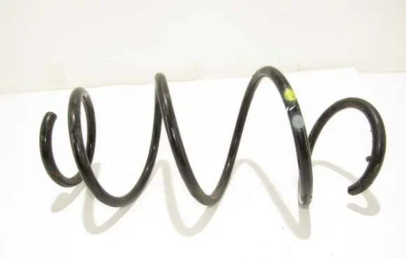 Front coil spring