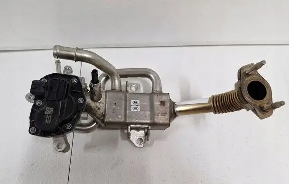 KIA Ceed EGR valve