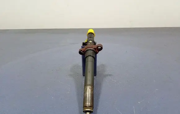 Citroen C5 Fuel injector 9688438580