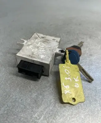 BMW X5 E53 Immobilizer control unit/module 61356905666