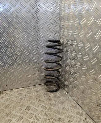 Rear coil spring