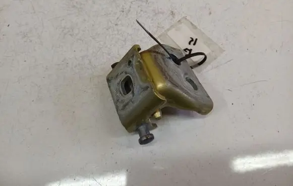 Citroen C4 Grand Picasso Rear door lower hinge 