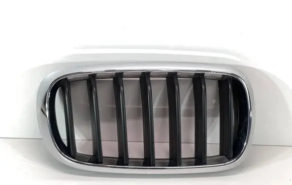 BMW X5 F15 Front grill 51137349388