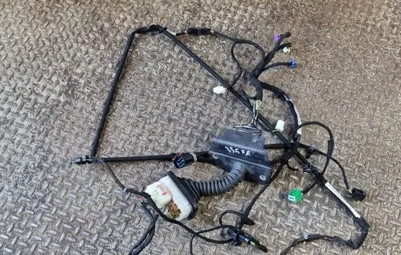 Front door wiring loom