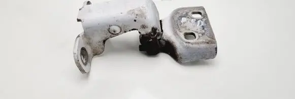 Renault Trafic II (X83) Front door lower hinge 311772J