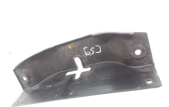 Engine bonnet/hood lock trim molding
