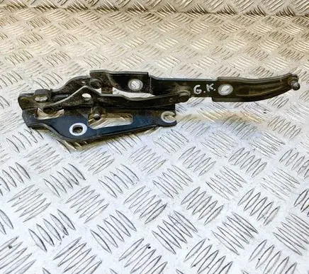 BMW 1 E81 E87 Tailgate/trunk/boot hinge 7166751