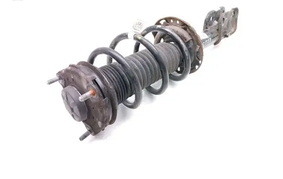 KIA Telluride Front shock absorber with coil spring 54601-S9050 54630-S9050 P2889050