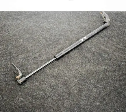 Tesla Model S Front bonnet/hood damper/strut 6006603