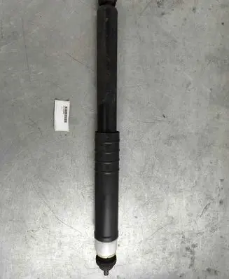 Renault Zoe Rear shock absorber/damper 562108289R