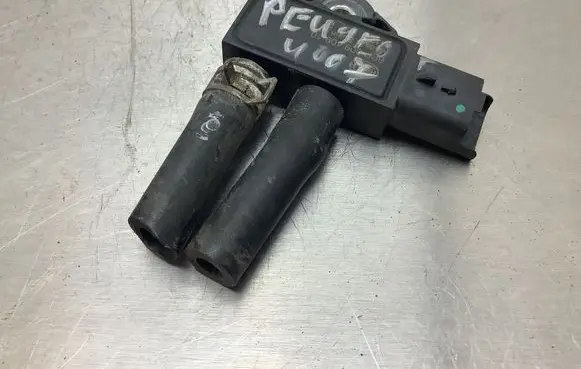 Peugeot 4007 Exhaust gas pressure sensor 6PP009409