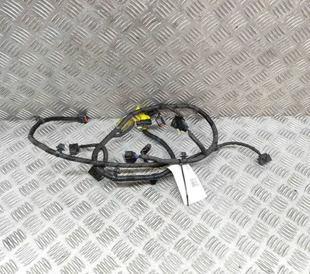 Hyundai Ioniq Parking sensor (PDC) wiring loom 91880G2020