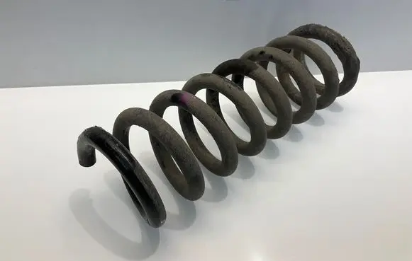 Rear coil spring