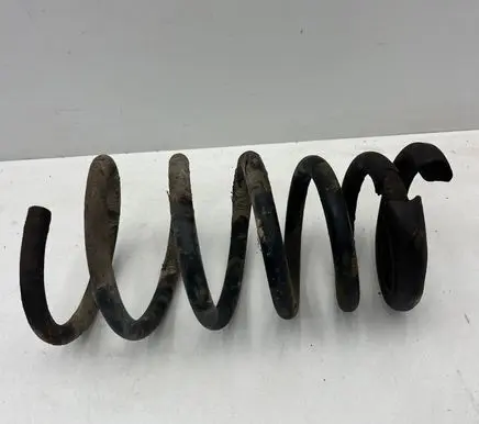 Rear coil spring