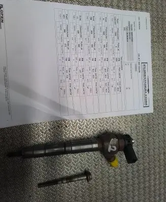 Volkswagen Crafter Fuel injector 0445110369