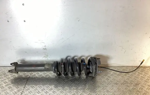 Porsche 911 997 Rear shock absorber with coil spring 99733316100