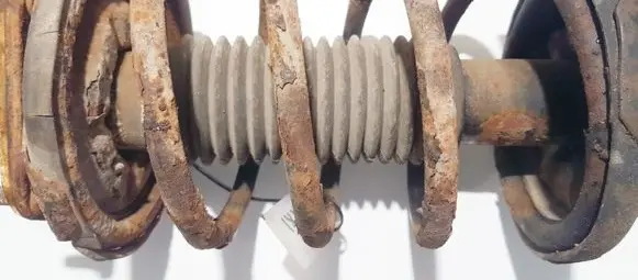 Mazda Premacy Front coil spring