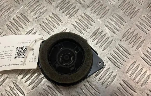 Panel speaker