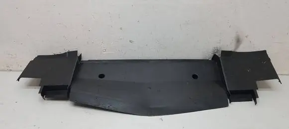 Mercedes-Benz B W245 Radiator trim A1695050230 230000020