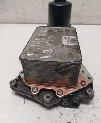 Land Rover Range Rover Evoque L538 Engine oil radiator 5989070106 841098A