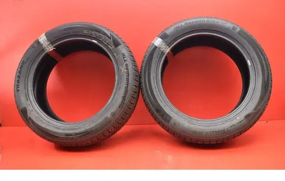 Tesla Model S R17 C winter tire 