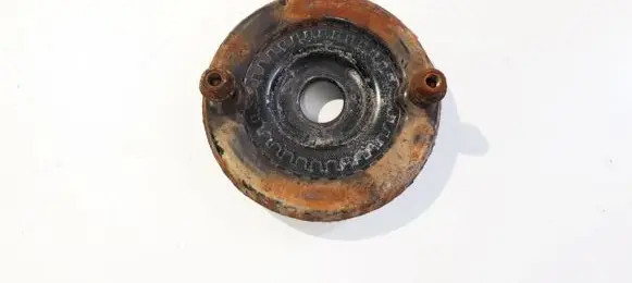 Coil spring mount
