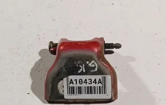 Citroen C3 Rear door lower hinge