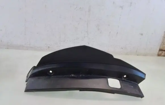 Rear/tail light trim molding