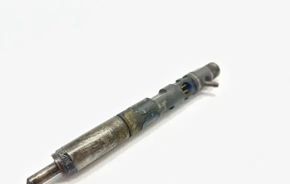 Renault Kangoo II Fuel injector 28237259 2318GF05W01