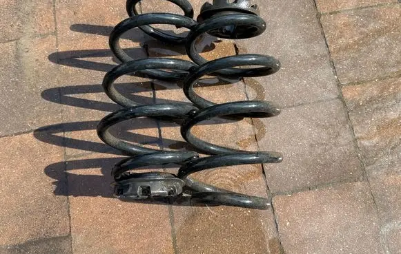 Renault Zoe Rear coil spring 