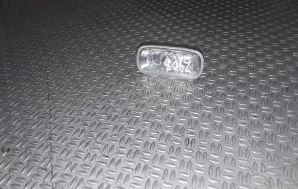 Front fender indicator light