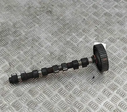 Fiat Barchetta Camshaft 60601213