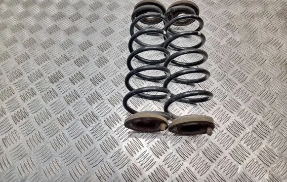 Skoda Octavia Mk2 (1Z) Rear coil spring