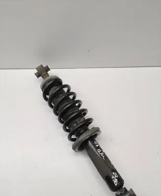 Peugeot 508 Rear shock absorber with coil spring 0029077E00