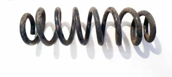 Opel Insignia B Rear coil spring AA6K