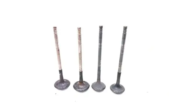Ford Focus Valve 