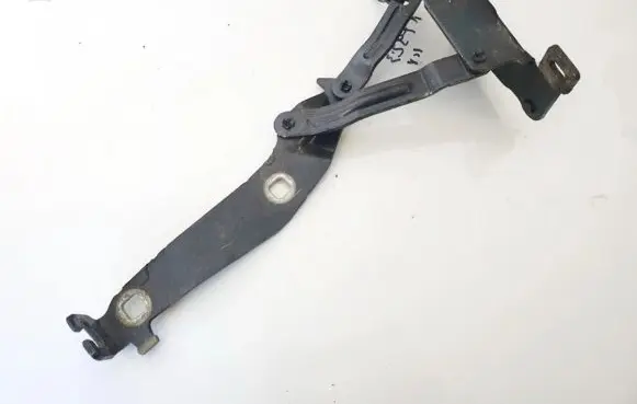 Tailgate/trunk/boot hinge