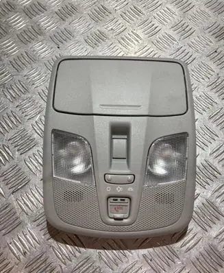 Suzuki SX4 S-Cross Headlining lighting console trim PK20949