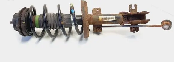 Fiat Bravo Front shock absorber with coil spring 50708892