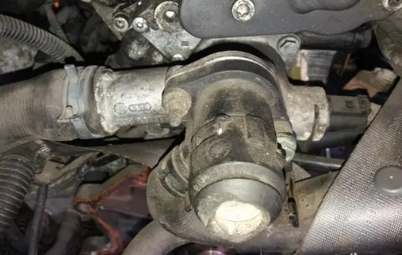Ford Galaxy Engine coolant pipe/hose 038121133J