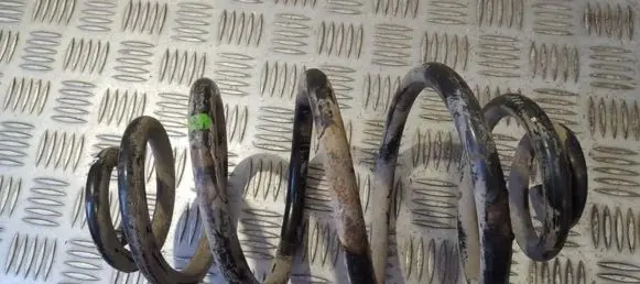 Volkswagen PASSAT B5 Rear coil spring