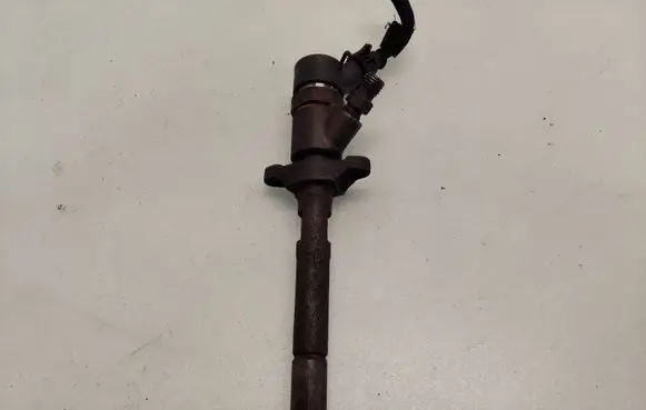 Ford Fiesta Fuel injector 0445110239