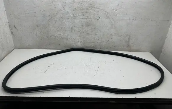 BMW 5 F10 F11 Rear door rubber seal (on body)