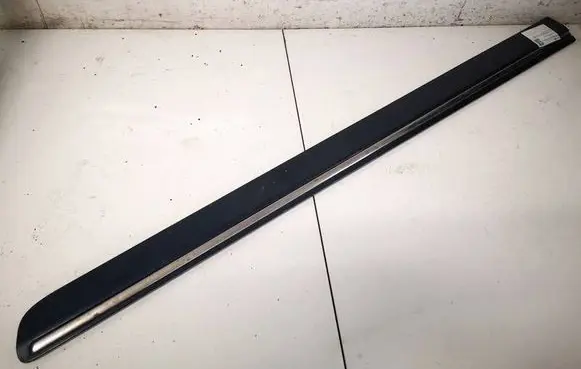 Mercedes-Benz B W245 Front door trim (molding) A1696983662