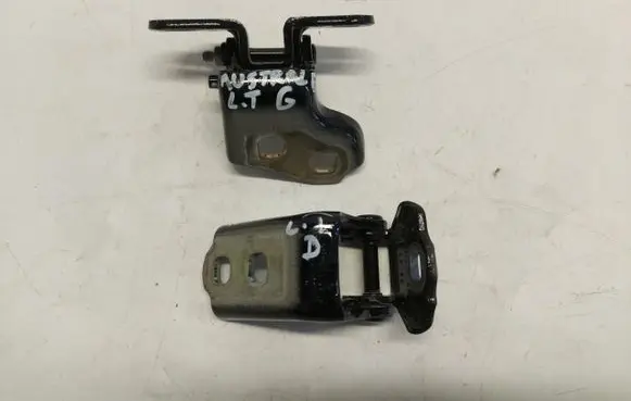 Renault Austral Rear door hinge set RENAUSZAWLT256158