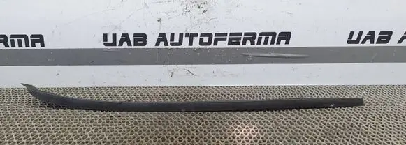 Seat Ibiza IV (6J,6P) Front door glass trim molding 6J0854319