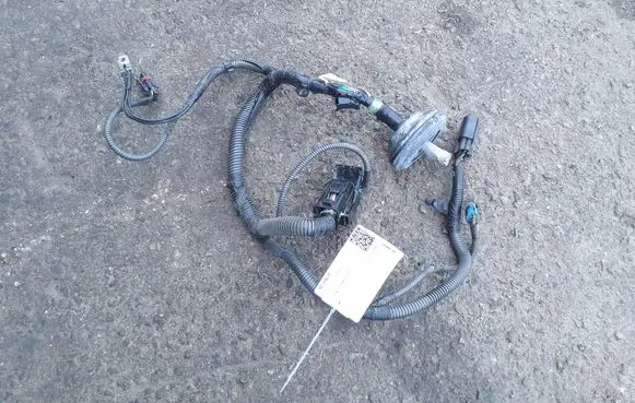 Other wiring loom
