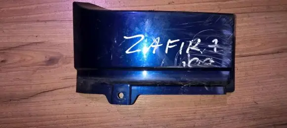 Rear/tail light trim molding